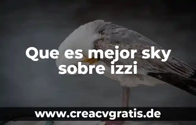 Qué es mejor polarizado o color negro en lentes 6 Que es mejor sky sobre izzi