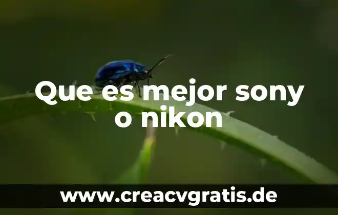Que es mejor ser enojon o tranquilo 7 Que es mejor sony o nikon