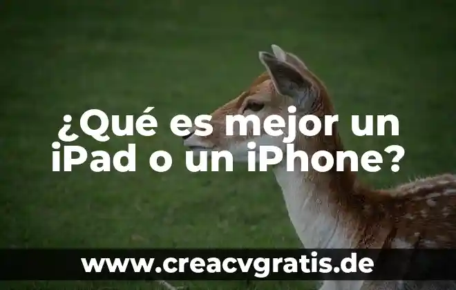 Qué es el número de flex en una iPad 4 ¿Qué es mejor un iPad o un iPhone?