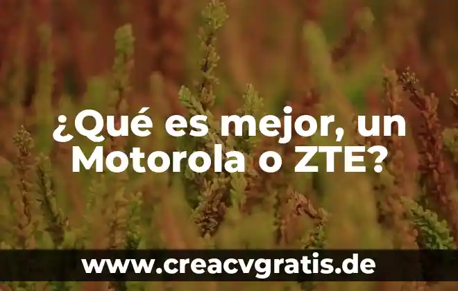 Que es herencia y tipos de herencias en c 8 ¿Qué es mejor, un Motorola o ZTE?