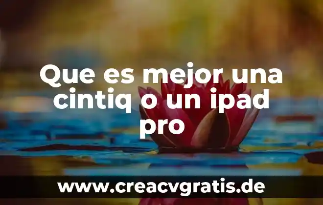 Qué es el número de flex en una iPad 3 Que es mejor una cintiq o un ipad pro