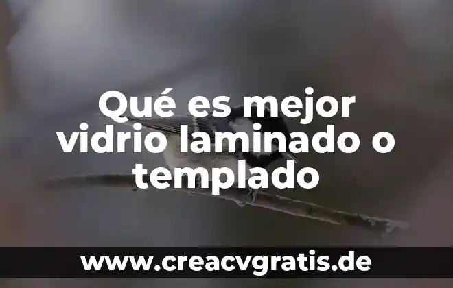 Qué es una institución de asistencia pública privada definición 5 Qué es mejor vidrio laminado o templado