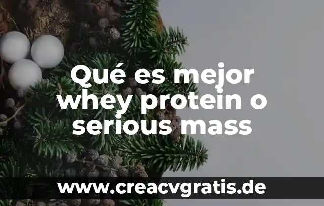 ¿Qué es mejor procesador i5 o x64? 5 Qué es mejor whey protein o serious mass