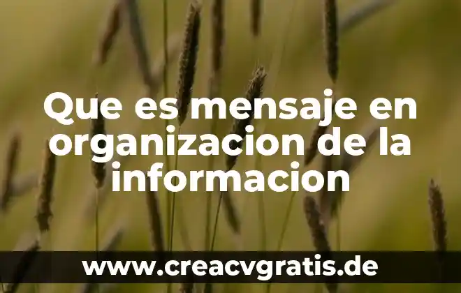 Qué es un manual de procesos en la organización 7 Que es mensaje en organizacion de la informacion