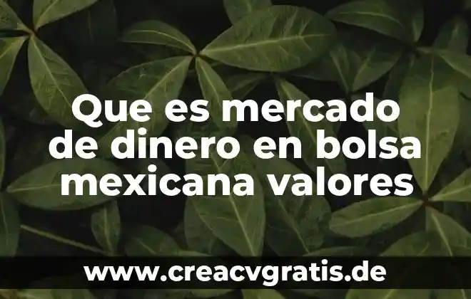 Restablecer valores predeterminados que es 4 Que es mercado de dinero en bolsa mexicana valores