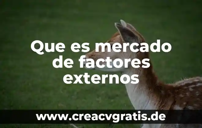 Que es el mercado de dinero mexicano 5 Que es mercado de factores externos