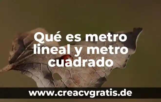 Línea del metro que es una bandera 5 Qué es metro lineal y metro cuadrado