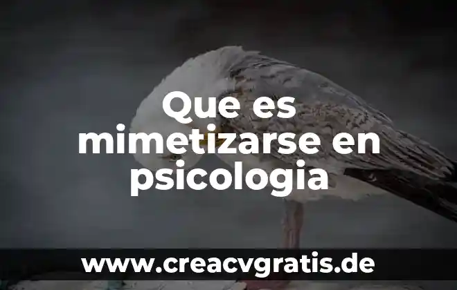 Qué es el modelo sistémico en psicología 4 Que es mimetizarse en psicologia