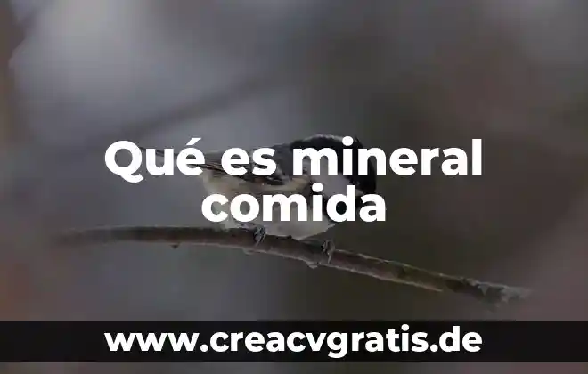 Que es el agua mineral y de donde se obtiene 3 Qué es mineral comida