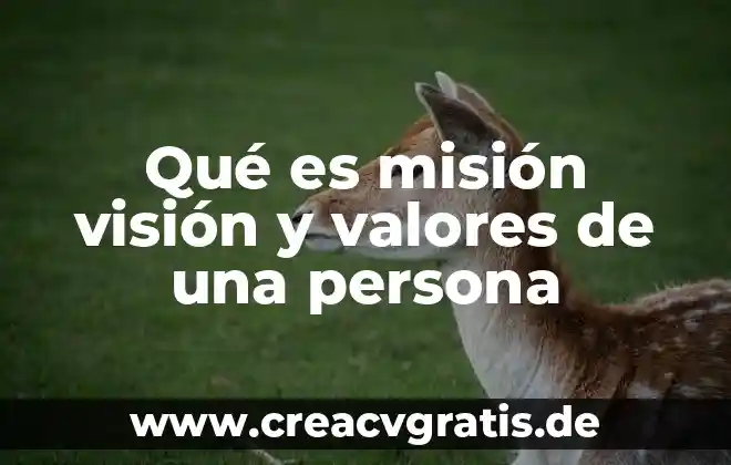 Qué es visión y misión de una organización 5 Qué es misión visión y valores de una persona