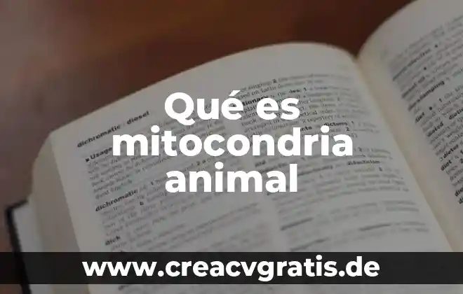 Qué es mitocondria de célula animal 4 Qué es mitocondria animal