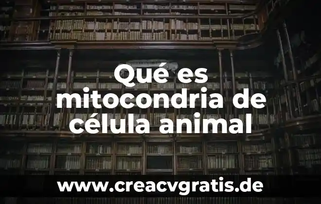Qué es mitocondria definición corta 6 Qué es mitocondria de célula animal