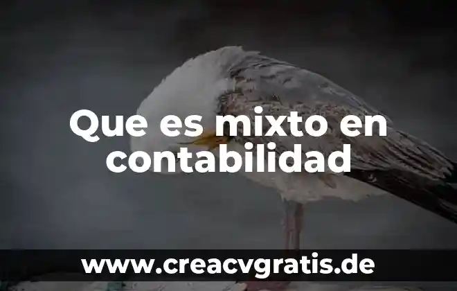 Qué es organigrama y qué tipos de organigrama existen 8 Que es mixto en contabilidad
