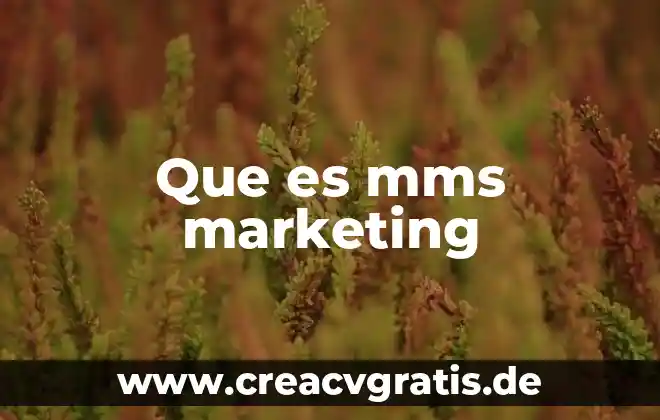 Que es marketing no diferenciado ejemplos 4 Que es mms marketing