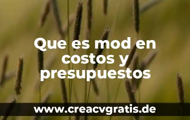 Que es un nivel en presupuestos 6 Que es mod en costos y presupuestos