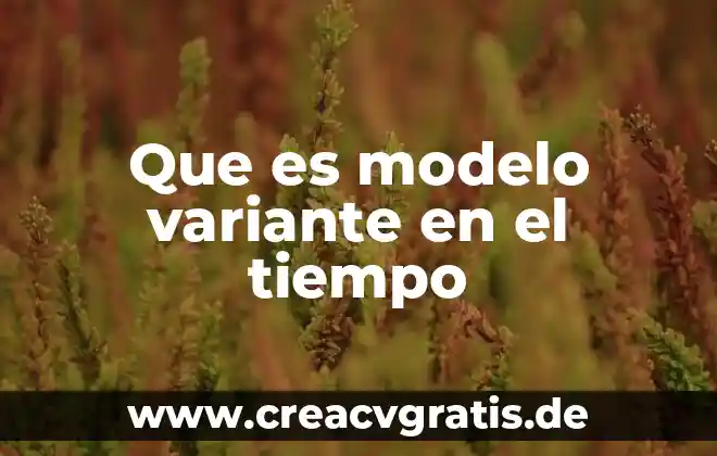 Que es y que implica una representación grafica 3 Que es modelo variante en el tiempo