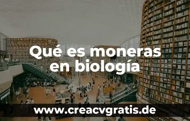 Qué es una ATP en biología 6 Qué es moneras en biología
