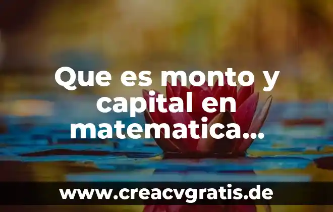 Que es una iteracion matematica 3 Que es monto y capital en matematica financiera