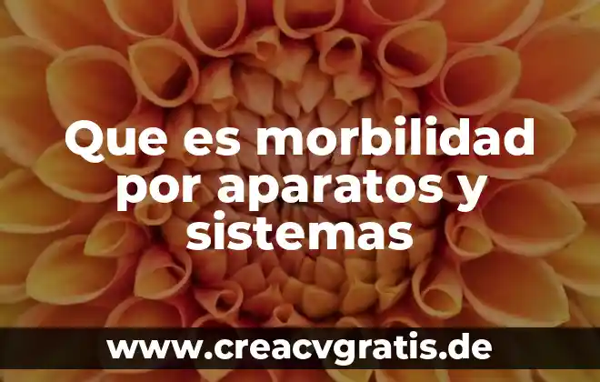 Que es ingenieria en sistemas 3 Que es morbilidad por aparatos y sistemas