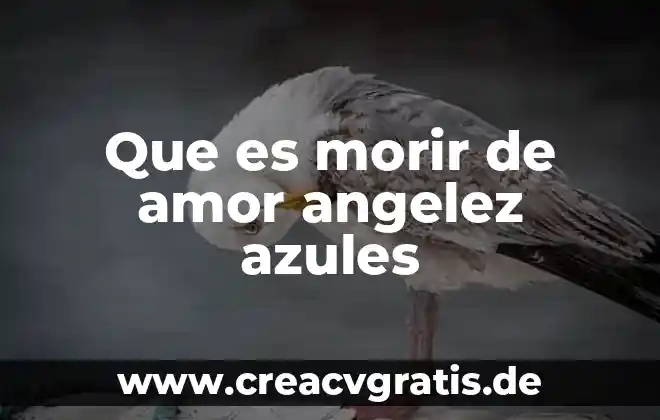 Que es el amor hacia adentro y hacia afuera 3 Que es morir de amor angelez azules