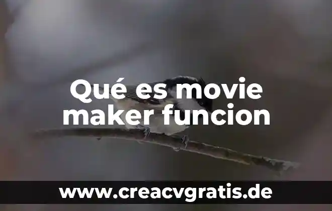 Que es un archivo de proyecto dentro de movie maker 5 Qué es movie maker funcion