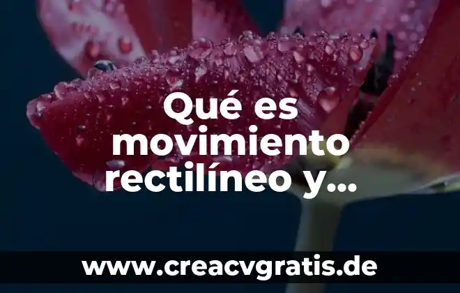 Que es una propiedad reducida y ejemplos 5 Qué es movimiento rectilíneo y ejemplos