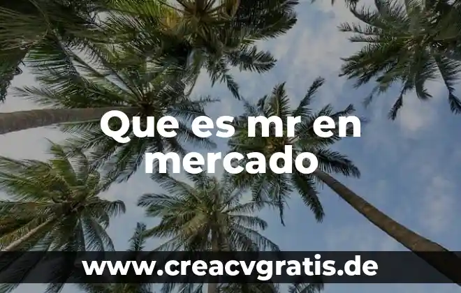 Que es emisi贸n de bonos en el mercado de capitales 6 Que es mr en mercado