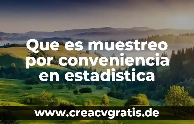 Que es una estimacion puntual en estadistica 4 Que es muestreo por conveniencia en estadistica