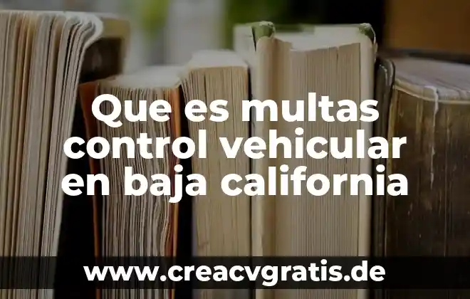 Fiesta del Sol en Baja California Norte que es 6 Que es multas control vehicular en baja california