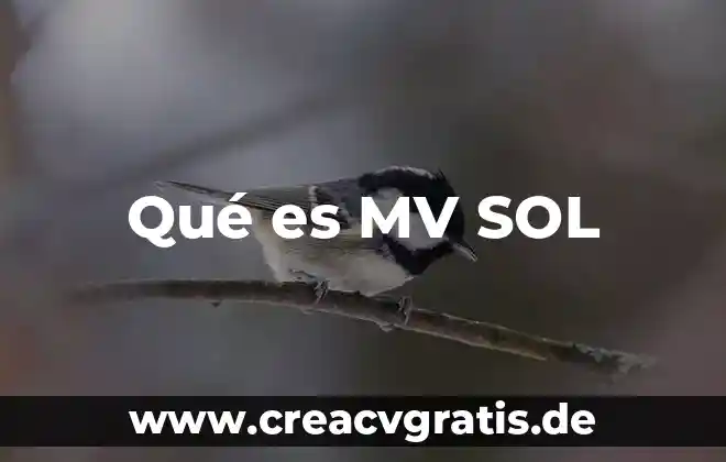 Que es la diosa del sol poniente 8 Qué es MV SOL