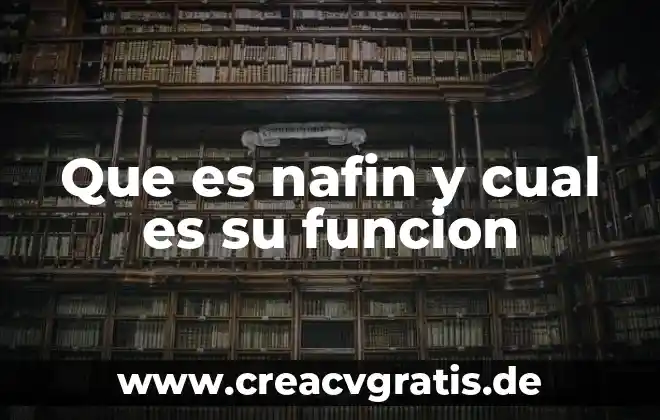 Que es la funcion rellenar en excel 3 Que es nafin y cual es su funcion