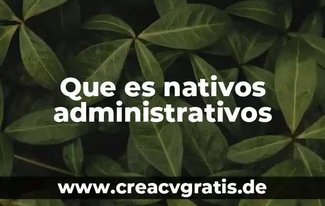 Que es y tipos de informes administrativos 6 Que es nativos administrativos