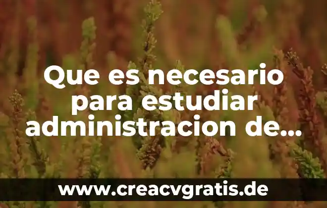 Que es mejor estudiar aleman o italiano 4 Que es necesario para estudiar administracion de empresas