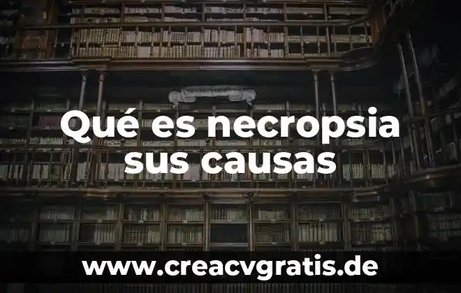 Que es un embarazo ectopico causas 4 Qué es necropsia sus causas