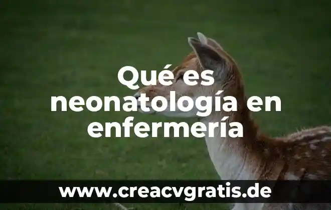 Que es un recien nacido enfermeria 7 Qué es neonatología en enfermería