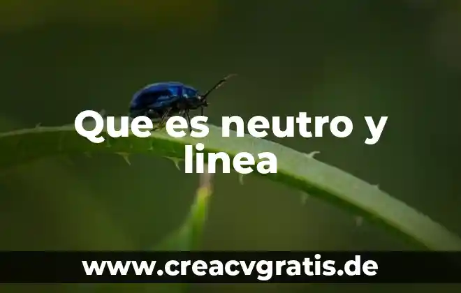 Que es línea de captura multilinea 7 Que es neutro y linea