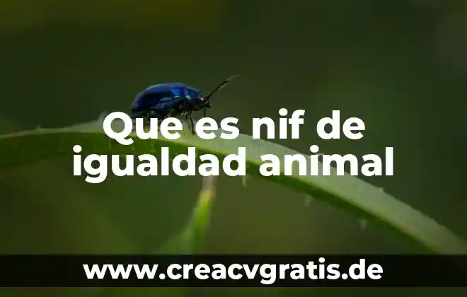 Que es un movimiento deudor conforme a las nif 5 Que es nif de igualdad animal