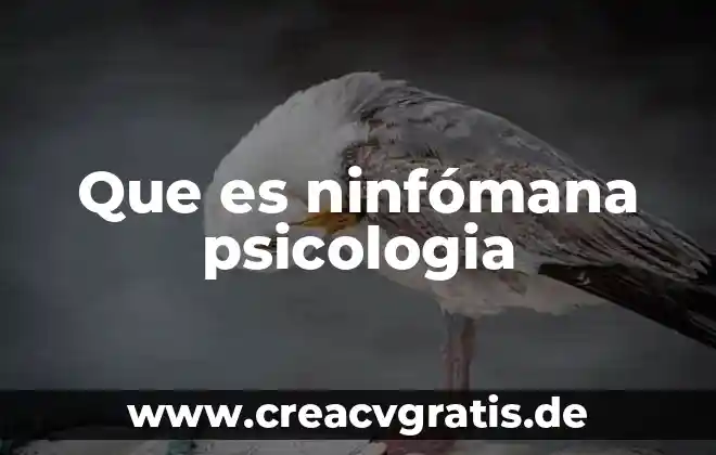 Qué es prospección en psicología 3 Que es ninfómana psicologia