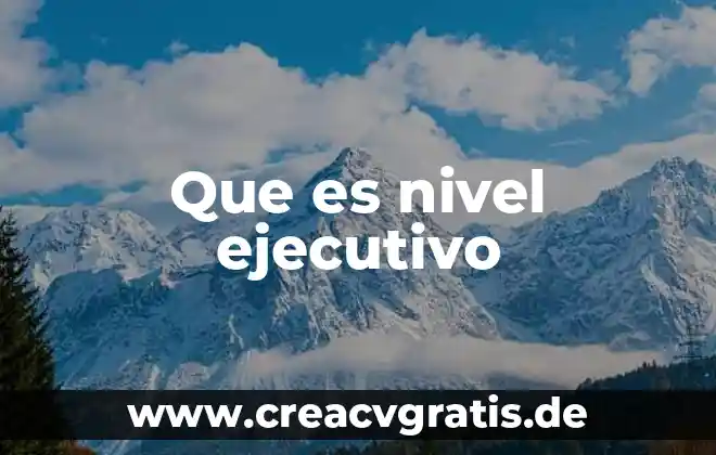 Que es un ejecutivo de cobranza informativa 3 Que es nivel ejecutivo