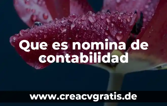 Que es una comision en la contabilidad 5 Que es nomina de contabilidad