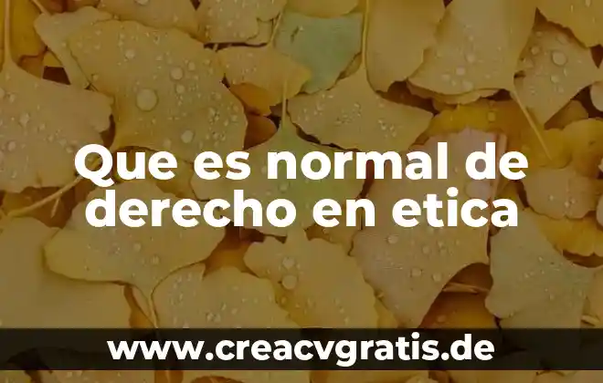 Que es franquicia en derecho mercantil 3 Que es normal de derecho en etica