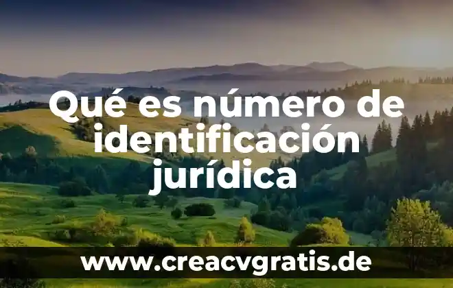 Qué es un alias en gráficas 8 Qué es número de identificación jurídica