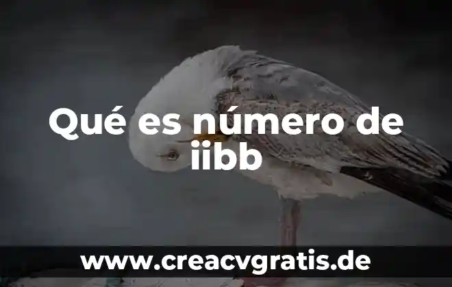 Número SSID modem que es 8 Qué es número de iibb