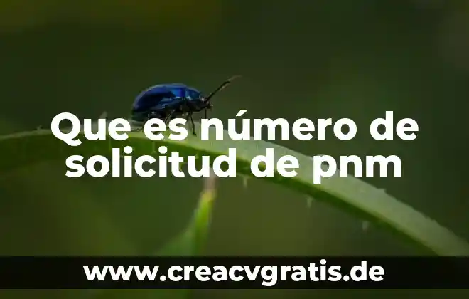 Número que es mi 5 Que es número de solicitud de pnm