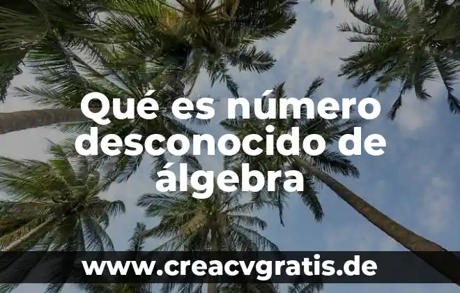 Número RMU que es 8 Qué es número desconocido de álgebra