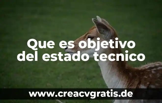 Que es el estado de registro 4 Que es objetivo del estado tecnico