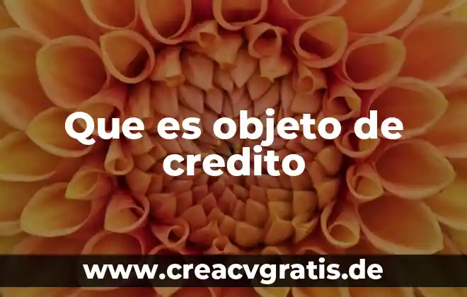 Que es objeto simple y compuesto 6 Que es objeto de credito