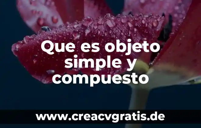 Que es investigacion por objeto de estudio 4 Que es objeto simple y compuesto