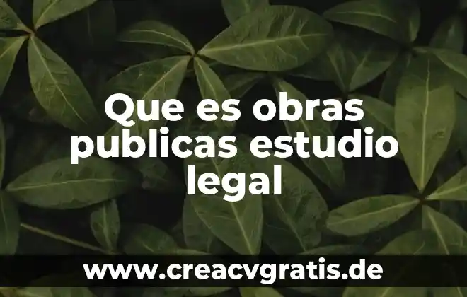 Que es la licenciatura en contaduria y finanzas publicas 6 Que es obras publicas estudio legal