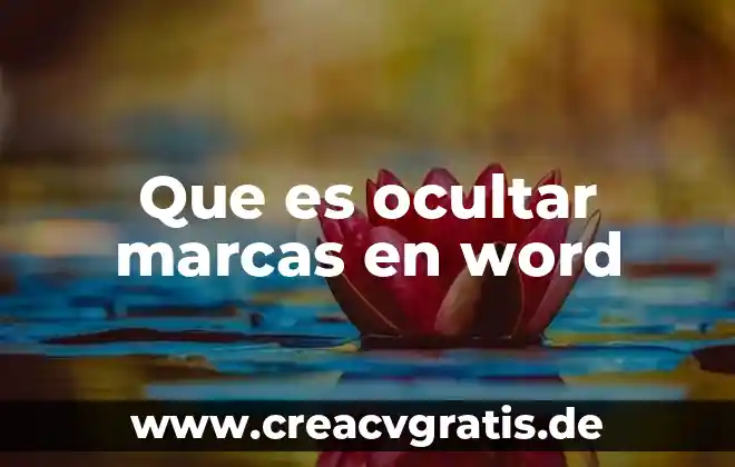 Que es una conclusión en una investigacion 8 Que es ocultar marcas en word